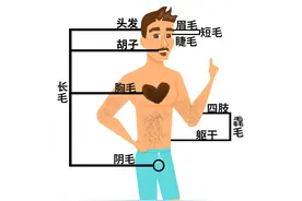 身上有一根毛特别长，是长寿象征，还是癌变前兆？图片