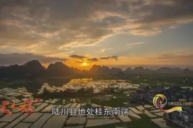陆川烤乳猪 让人忍不住垂涎三尺的美味图片
