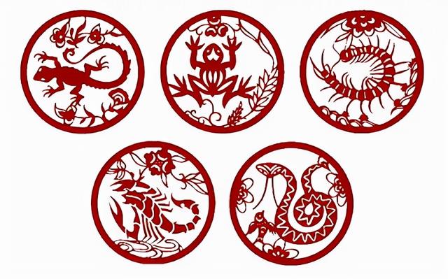 人畜无害的壁虎,为什么位居"五毒"之一?原来是它"深藏不露"