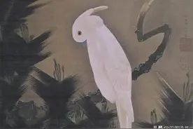 灵性动物故事5则：有时候，动物比人有情义多啦图片