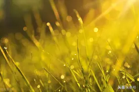 与法官同学聊28事件启示图片