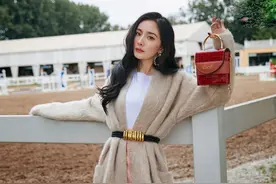 衣服总爱粘毛容易让人发狂？高颜值粘毛器轻松去毛，便捷清理图片