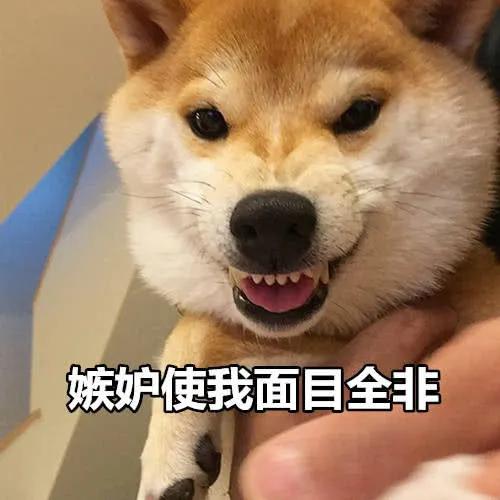 һֻҪǮ