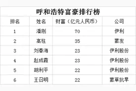 2020呼和浩特富豪排行榜图片