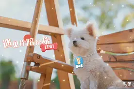 今年最好哭的综艺！我全程呜呜呜呜呜呜呜图片