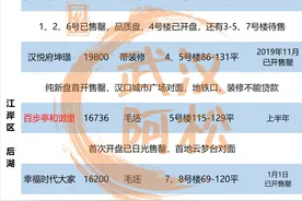 低价刷新！开发商慌了？超新超全大武汉动态（4.12大汉口）！图片