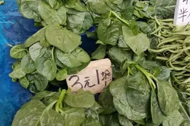 吃起来滑溜溜的这个菜，你喜欢吗？图片