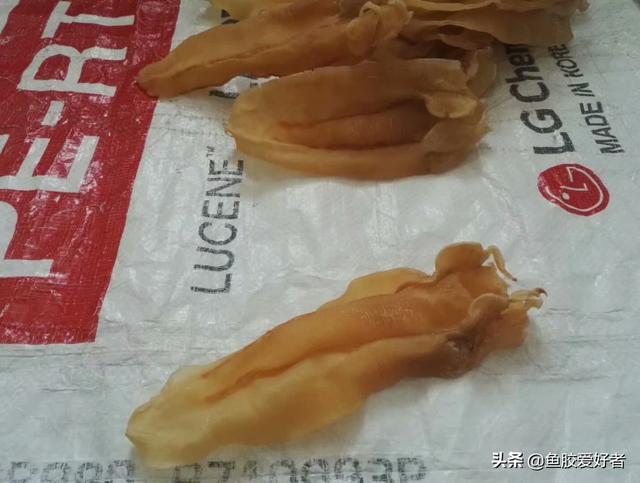 苏里南鱼胶母鱼胶怎么样 2026年苏里南鱼胶好不好