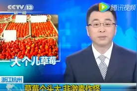 大草莓打了激素不能给孩子吃？这些儿童食物的说法，到底能不能信图片