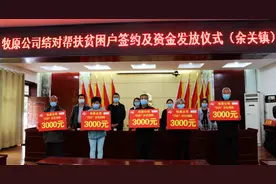 区域发展看内乡③  内乡“5+”模式探析图片