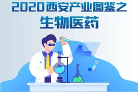 一张图看懂西安生物医药产业全局图片