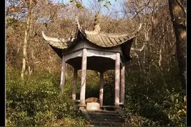 南京最神奇的井一一紫金山应潮井图片