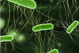 粪便是治疗疑难杂症的药，不再是脏臭的农家肥，还可专门存在银行图片