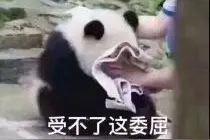 搞怪萌系表情包大全图片