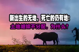 “增人不增地，减人不减地”，土地不再分配，为什么？图片