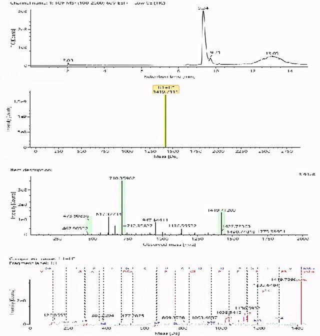 鎶€鏈崌绾т辅楂樺垎杈ㄨ川璋卞姪鍔涘ぇ鍒嗗瓙铔嬬櫧鑽墿缁撴瀯纭瘉鐮旂┒