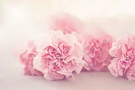 中年女人给你这些东西，是在暗示她看上你了图片