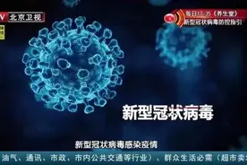 病毒感染比细菌感染更可怕？原来都和这个因素有关图片