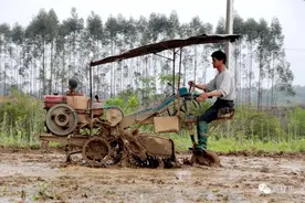人勤春来早：桂平市早稻插秧拉开序幕”图片