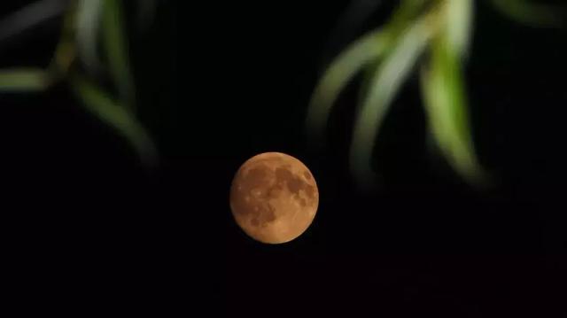 关于中秋节为什么吃月饼(中秋节为什么吃月饼)