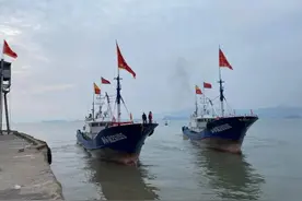 一网200万！宁波渔民捕获4万斤超大米鱼，大丰收还是“绝户网”？图片