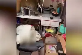 贵州贵阳一猴子闯入女寝把美妆蛋当鸡蛋拿走，网友：她们学校是开在了花果山旁边吗？图片