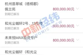 杭州万人摇号抢房：有人十几次都不中，投资客狂赚百万离场图片