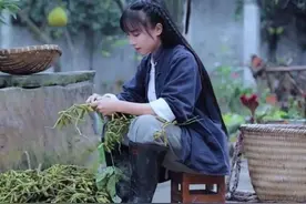 李子柒弹棉花孩子看20遍，霸气爸爸把大自然搬回家，其实你也可以图片