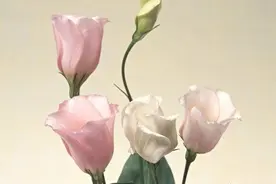 62岁男人拒绝40岁保姆表白：我退休金8000，过得很好不需要老伴图片