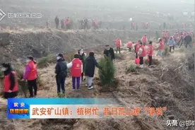 武安矿山镇：植树忙 昔日荒山披“绿装”图片