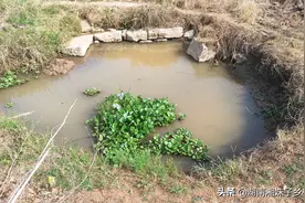 太奇怪了，湖南有一口五百多年的水井为什么突然干了？图片