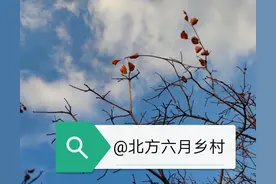 等闲变却故人心（之十）图片