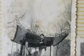 问世间，情为何物图片