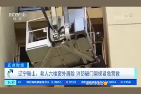央视点赞！老人六楼窗外遇险 鞍山消防紧急营救图片