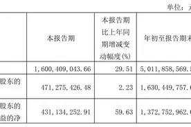 六个核桃盈利能力持续增强，养元植物奶或迎全新增长空间图片