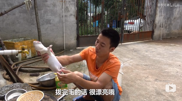 鸡皮疙瘩2在线观看带字