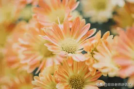 贵州省黔西南布依族苗族自治州2021年中考语文试题及答案解析版图片