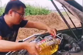 「一周车话」抖音猛男开始给爱车加花生油了图片