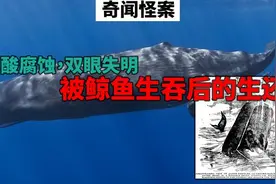 最幸运的男子！被鲸鱼生吞后竟然还能生还图片