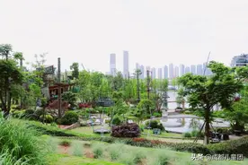 周末去哪儿丨五一遛娃不去热门景区，这三个地方轻松畅玩一整天图片