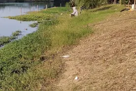小伙钓鱼是高手，厂里是能手，看见女人却下不了手年过三十还单身图片