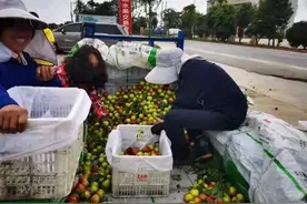 打造全产业链，枣阳皇桃跨界“破圈”｜中国桃乡看枣阳图片