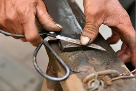 剪子不管多钝，都不要扔掉！多做这一步，剪子立马锋利如新图片