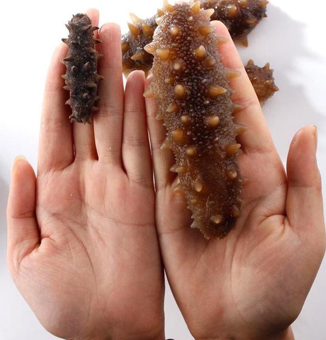 涓€鐩村湪鍚冩捣鍙傦紝浣犵湡鐨勭煡閬撴捣鍙傜殑钀ュ吇鍦ㄥ摢閲屽悧锛? onerror=