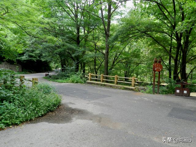 重走抗联路——本溪关门山森林公园鸣翠谷景区抗联秘营