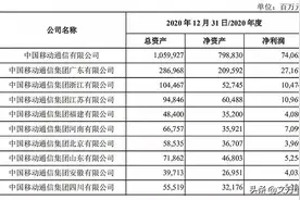 广东移动2020年度净利润是整个中国联通的两倍图片