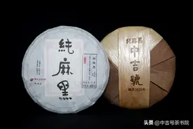 中吉号的云南普洱茶为何是越来越受欢迎图片