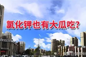 氯化钾也有大瓜吃？图片