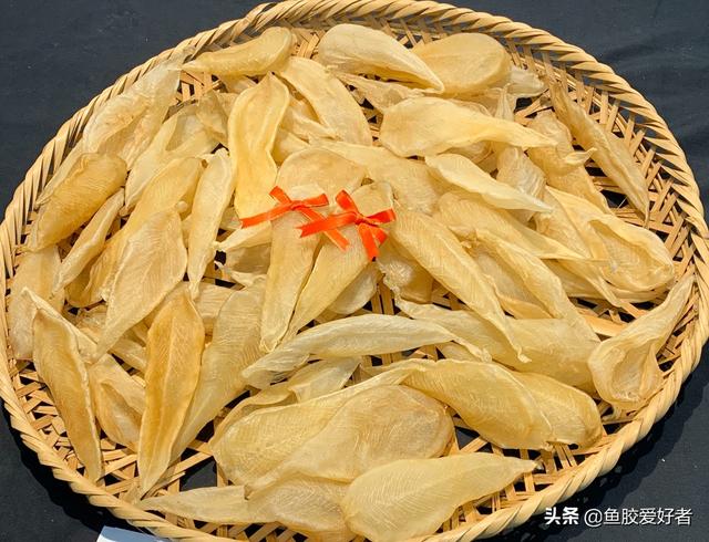 花胶比较大是正常的吗 花胶大的好还是小的好?