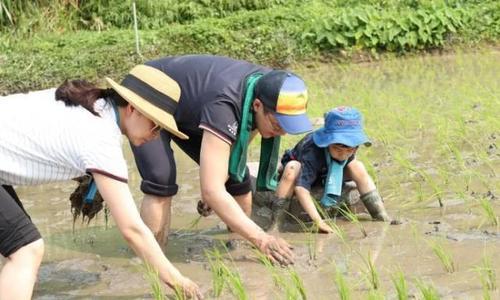 孩子叛逆教育收费(图8)